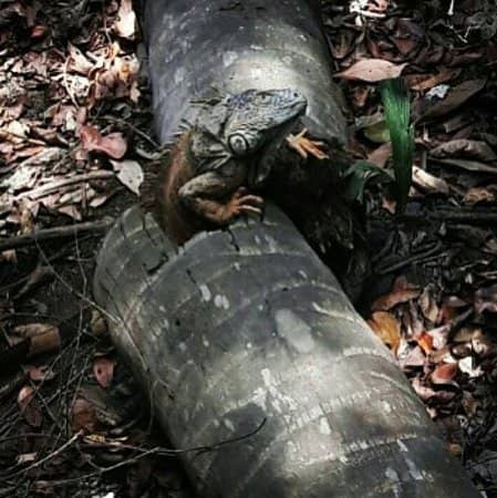 Recreational Area & Exhibits