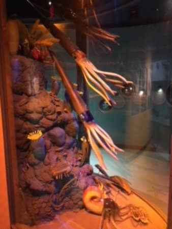 Ancient Michigan Environment