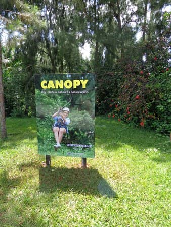 Canopy Adventure
