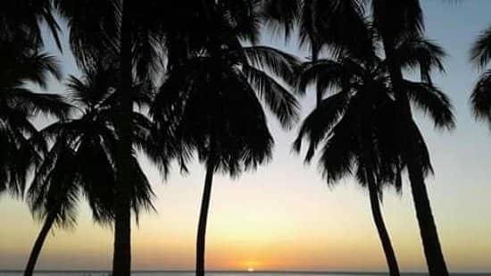 Sunrise Serenity