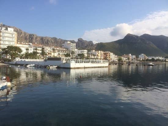 The Iconic Pine Walk