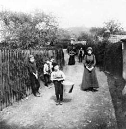 Historic Allotment Plots