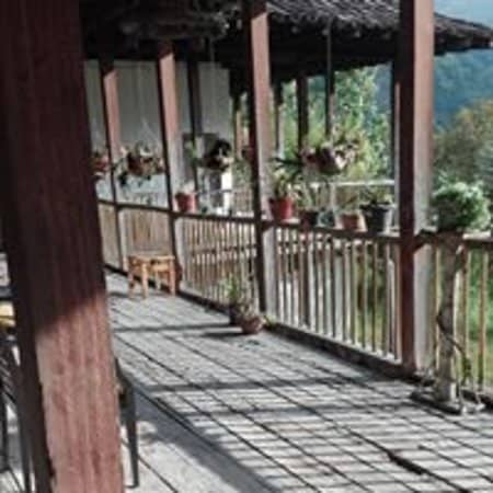 Scenic Walking Trails