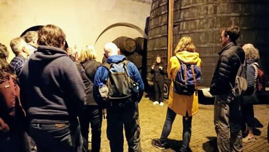 Dona Antonia Adelaide Ferreira's Legacy