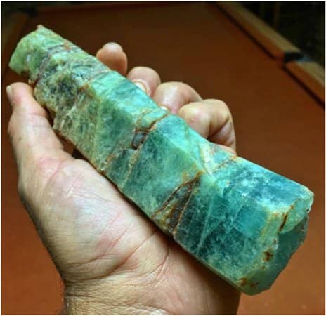 Wildflower Spectacle