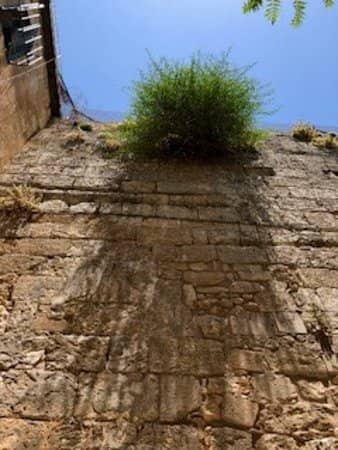 Peaceful Prayer Spot