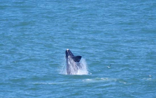 Cliff Path Promenade
