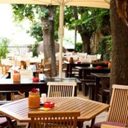 Leafy Garden Seating