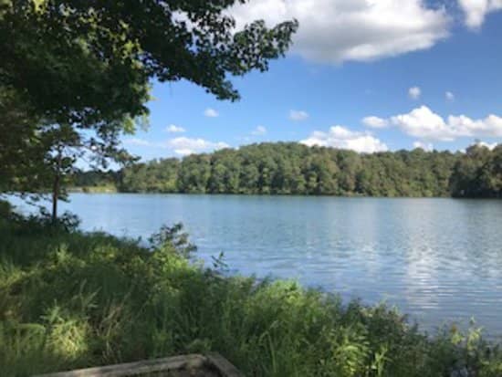 Picnic and BBQ Areas