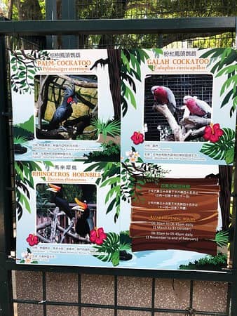 Aviary