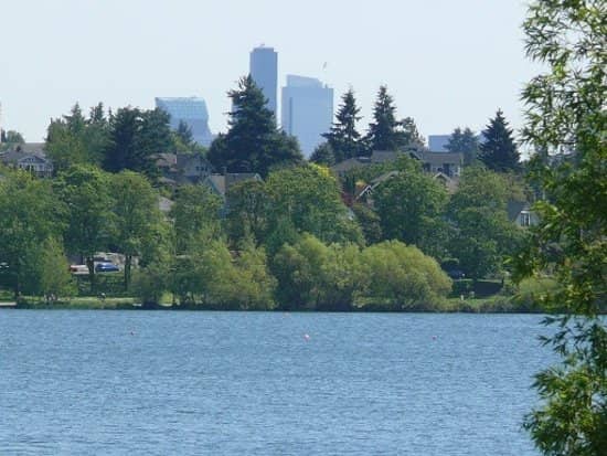 Urban Oasis & Recreation