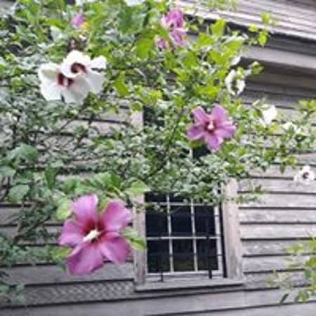 Vintage Advertising Signs