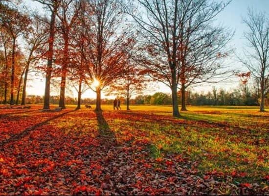 Mississippi River Overlook
