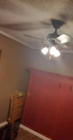 Thrill-Seeking Slides