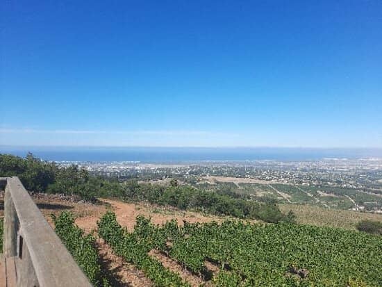 Panoramic Viewpoint Hike