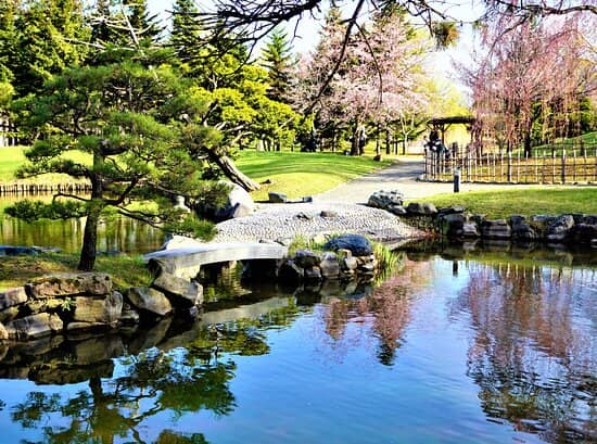 Miniature Japanese Garden