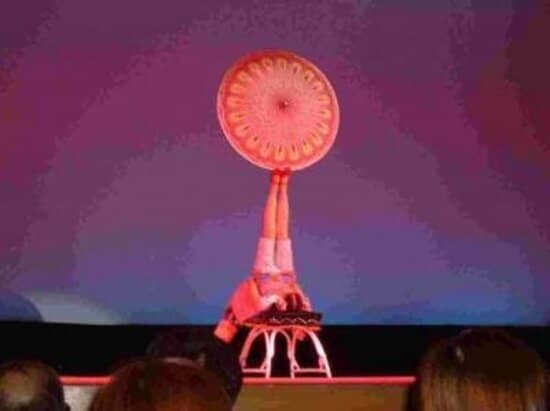 Fireworks Spectacular