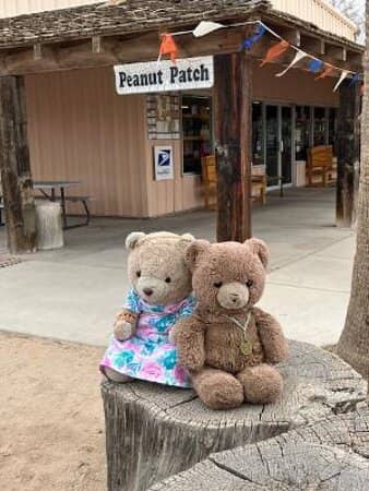 Handmade Peanut Brittle