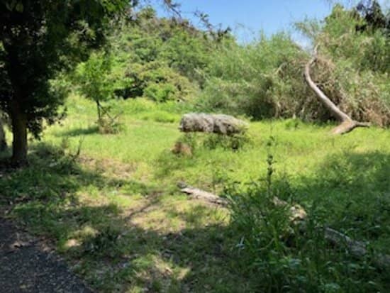 Shikanoshima Island Drive