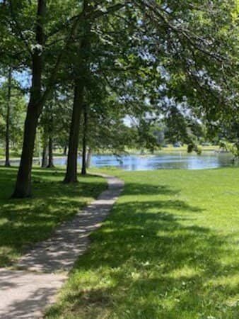 Vibrant Farmers Market