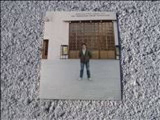 Sea of Galilee Views