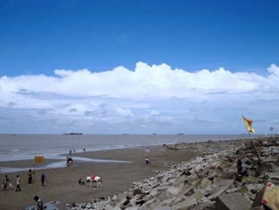 Street Food Delights