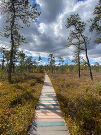 Interpretive Signage