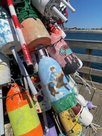 Dog-Friendly Beach & Playground