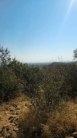 Panoramic City Views