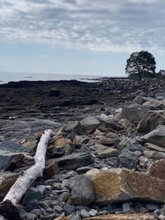 Seaside Serenity Beach