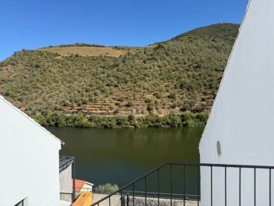 Wine Tasting & Winery Tour