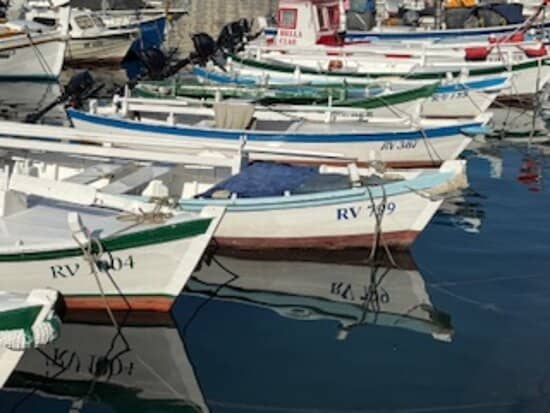 Rovinj Harbor