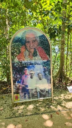 Rainforest Canopy Walk