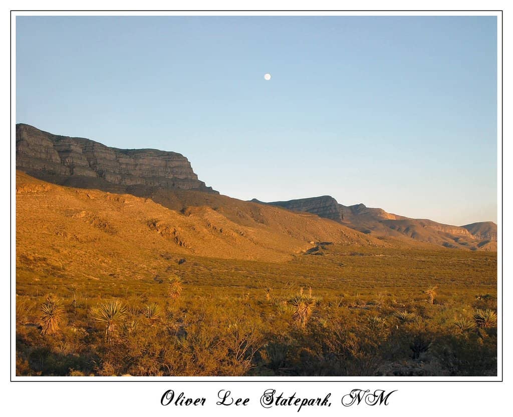 Desert Campground