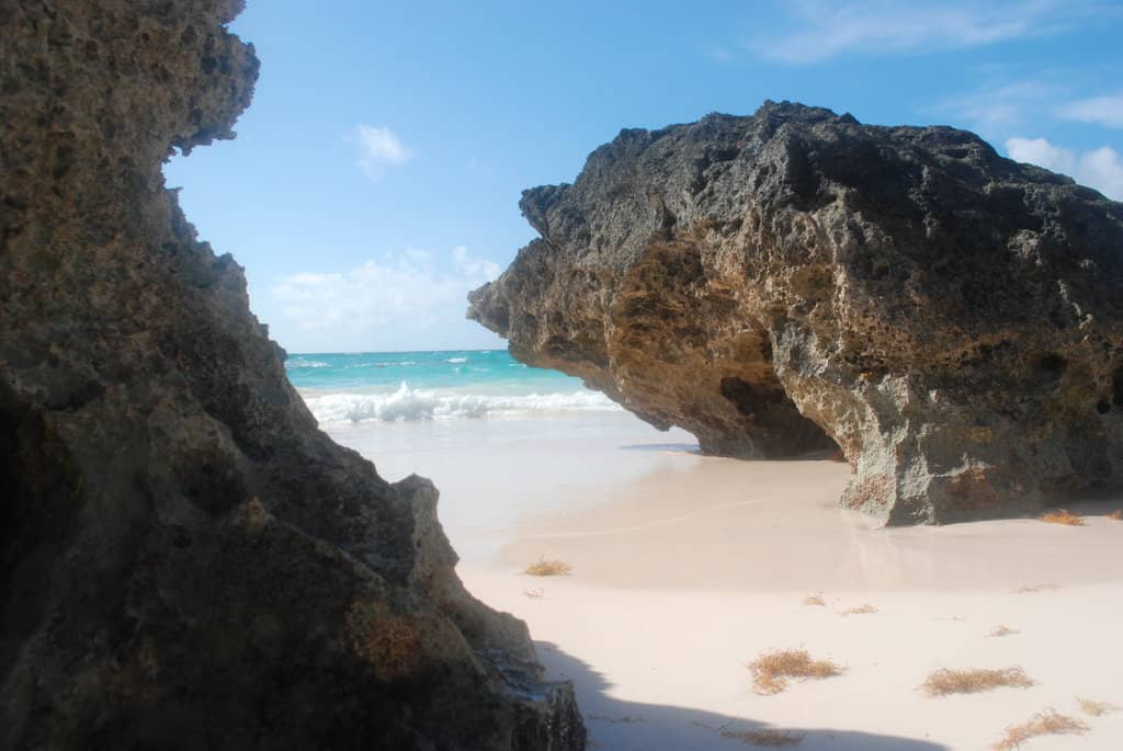 Snorkeling and Marine Life