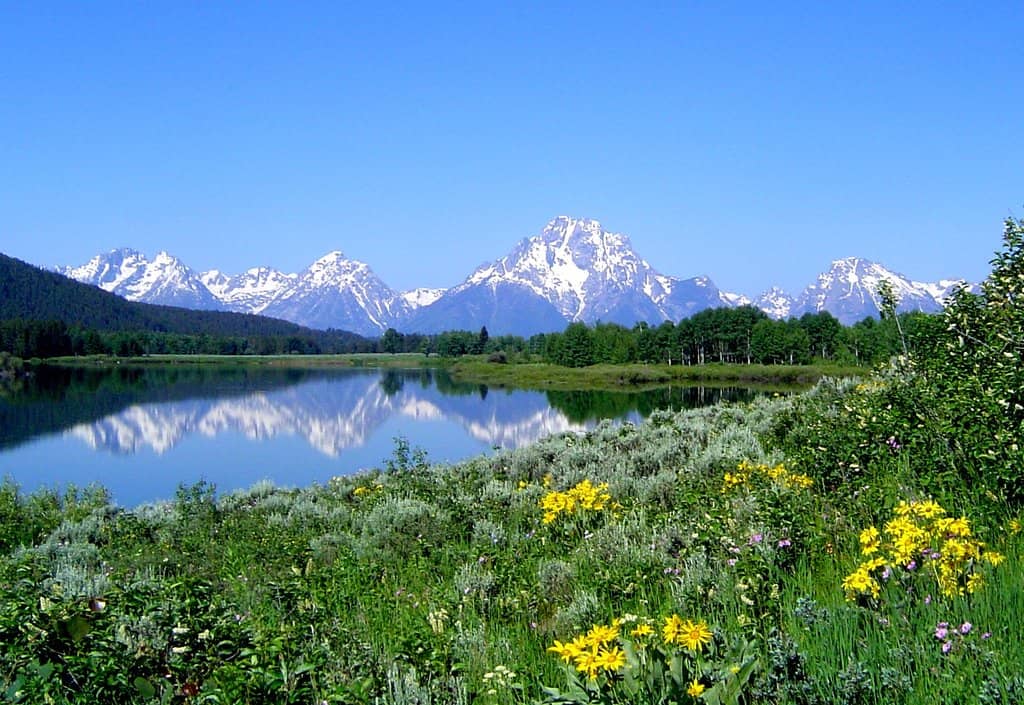 Signal Mountain Summit Road