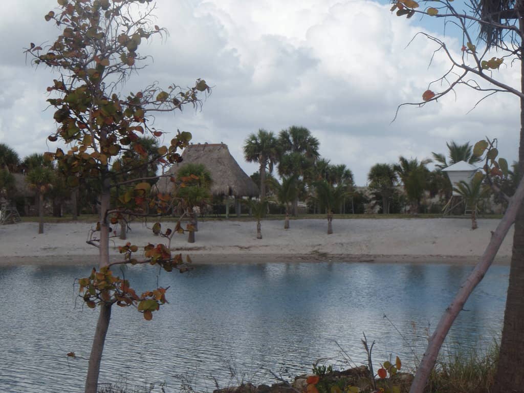 Crystal Clear Waters