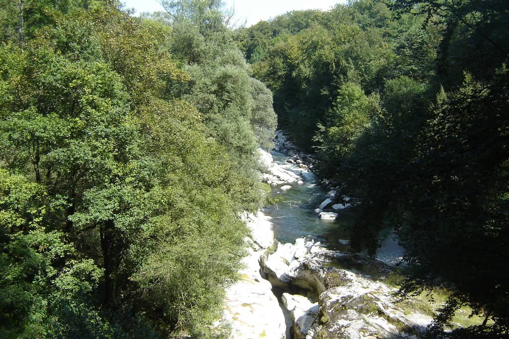 The Suspended Footbridge