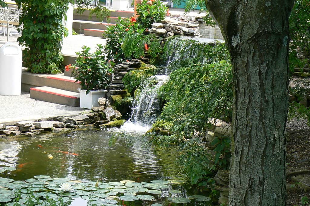 Animal Barn Encounters