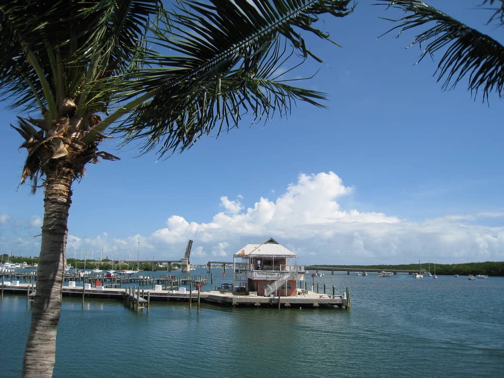 Signature "Fry Dust" Fries
