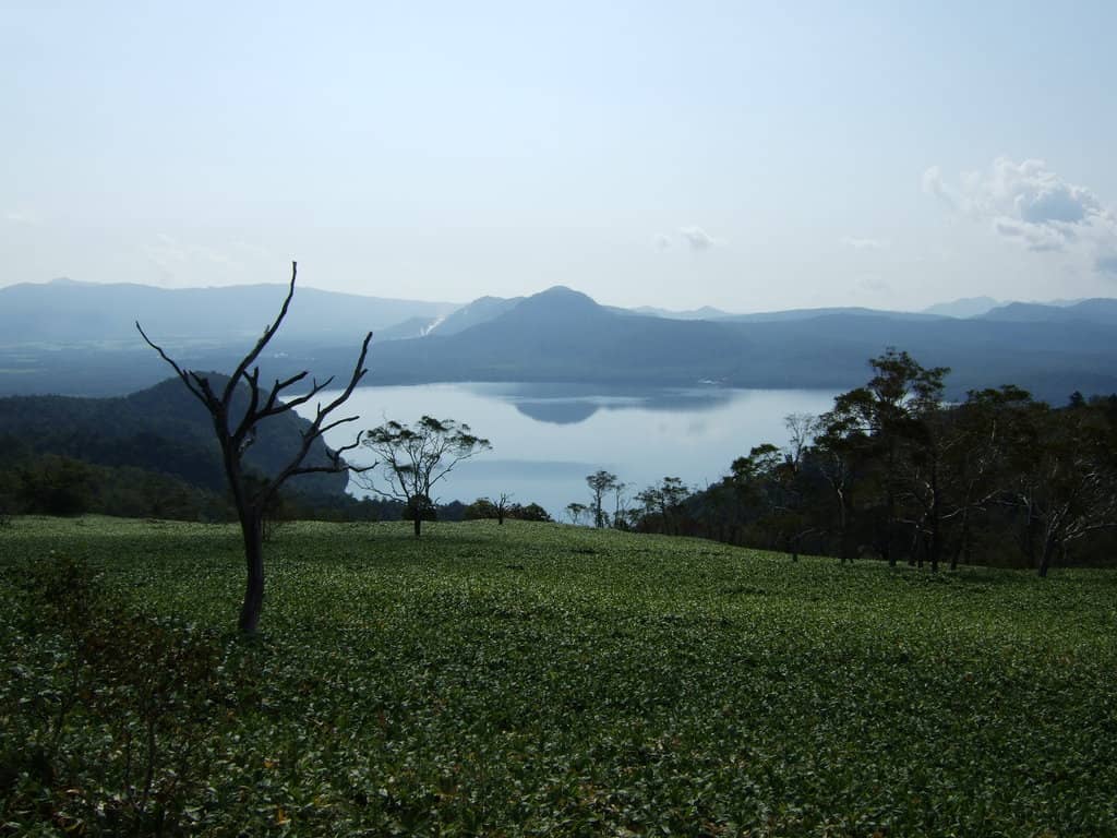 Scenic Driving Route