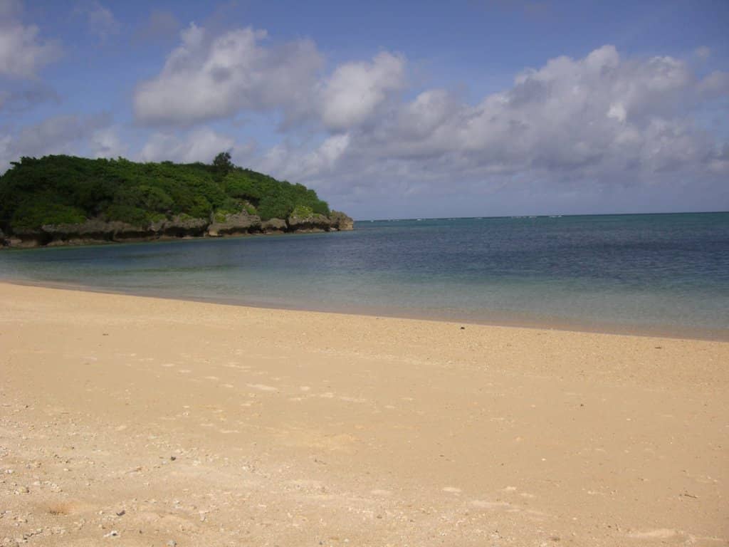 Tiger Shark Encounters