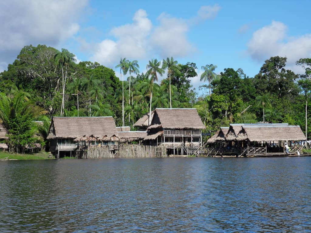 Jungle Walks & Wildlife Spotting