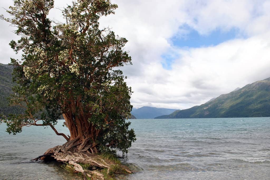 Boat Tour to Chile Border