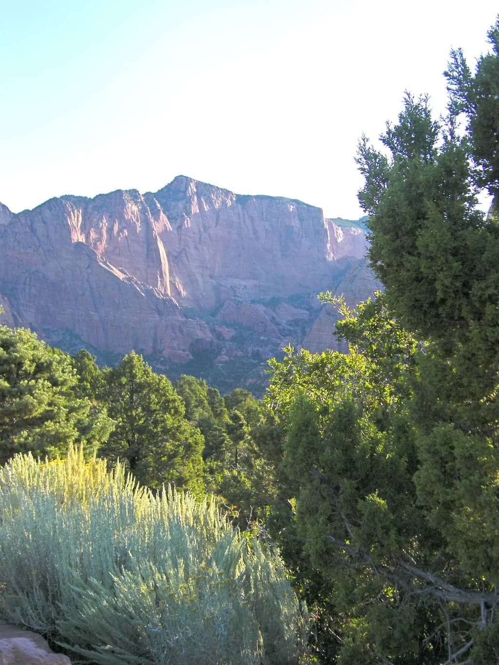 Kolob Canyons Scenic Drive