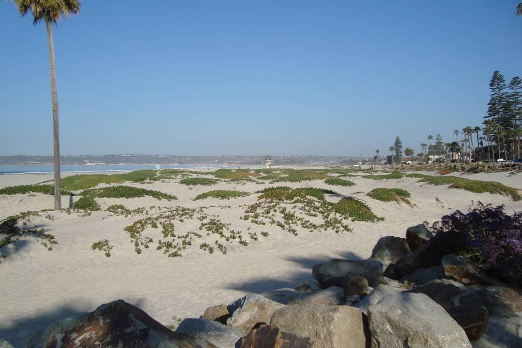 Beachfront Access & Amenities