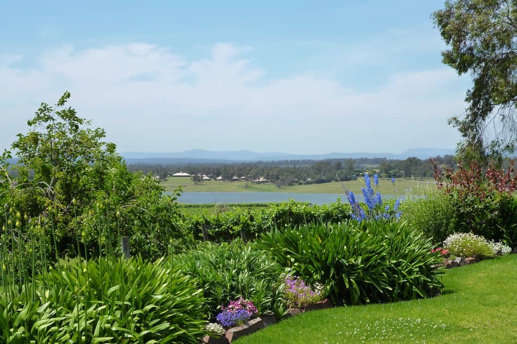 Scenic Vineyard Views