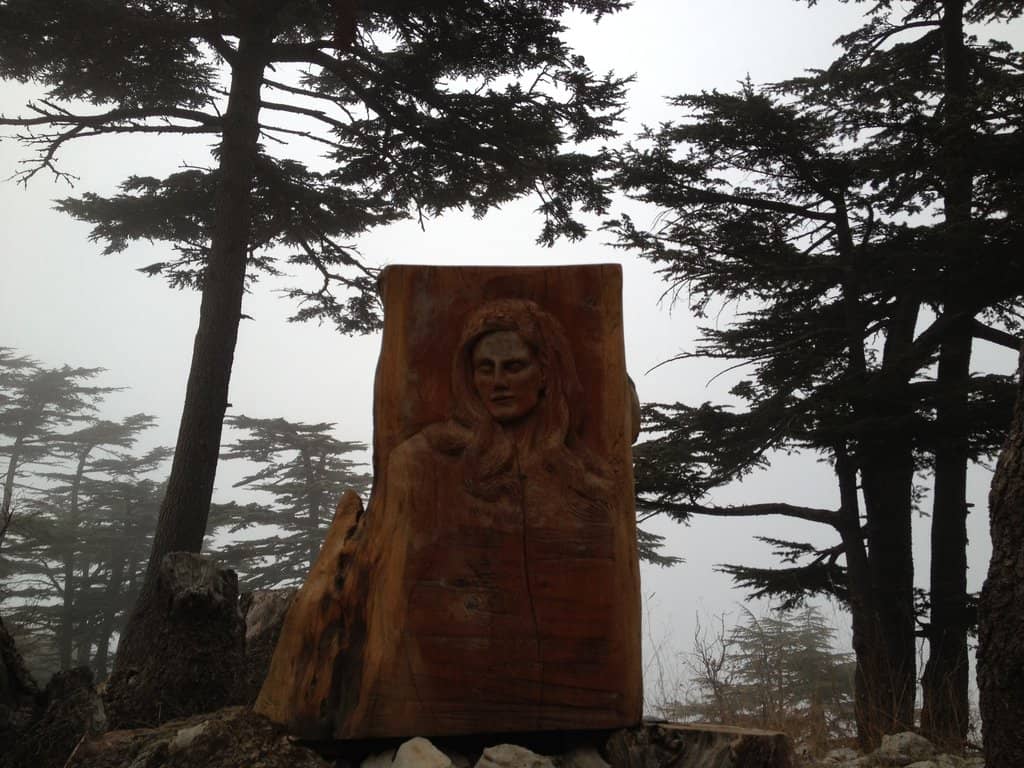 Panoramic Valley Views