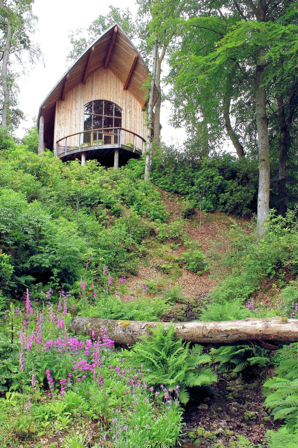 Tranquil Woodland Walks