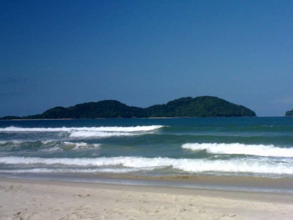 Surfing & Water Sports